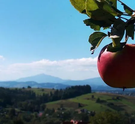 Apartmán Gorce I Rabka