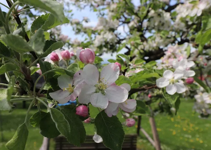Appartamento Gorce I Rabka-Zdrój